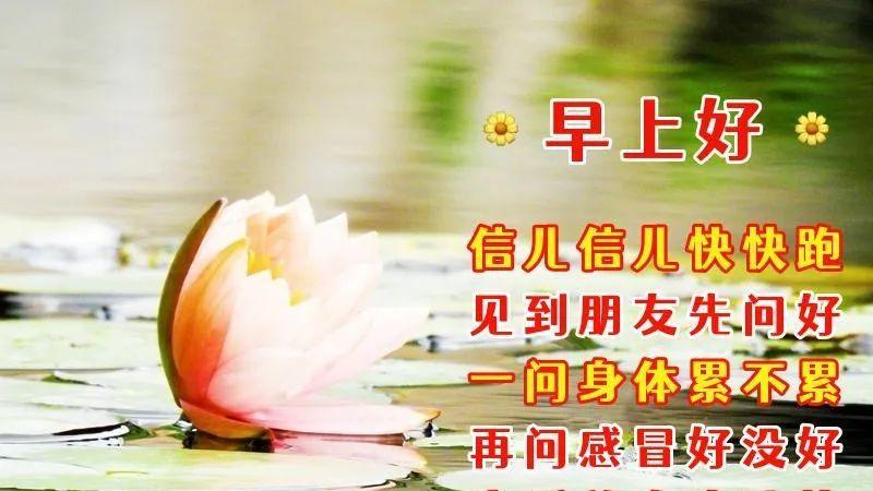 一张图片，一份祝福：早安，愿你拥有美好的一天