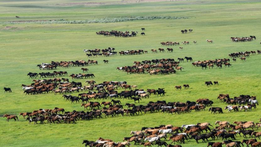 穿越当将军才知道：带一万兵马攻城，可能连新手村都出不去？