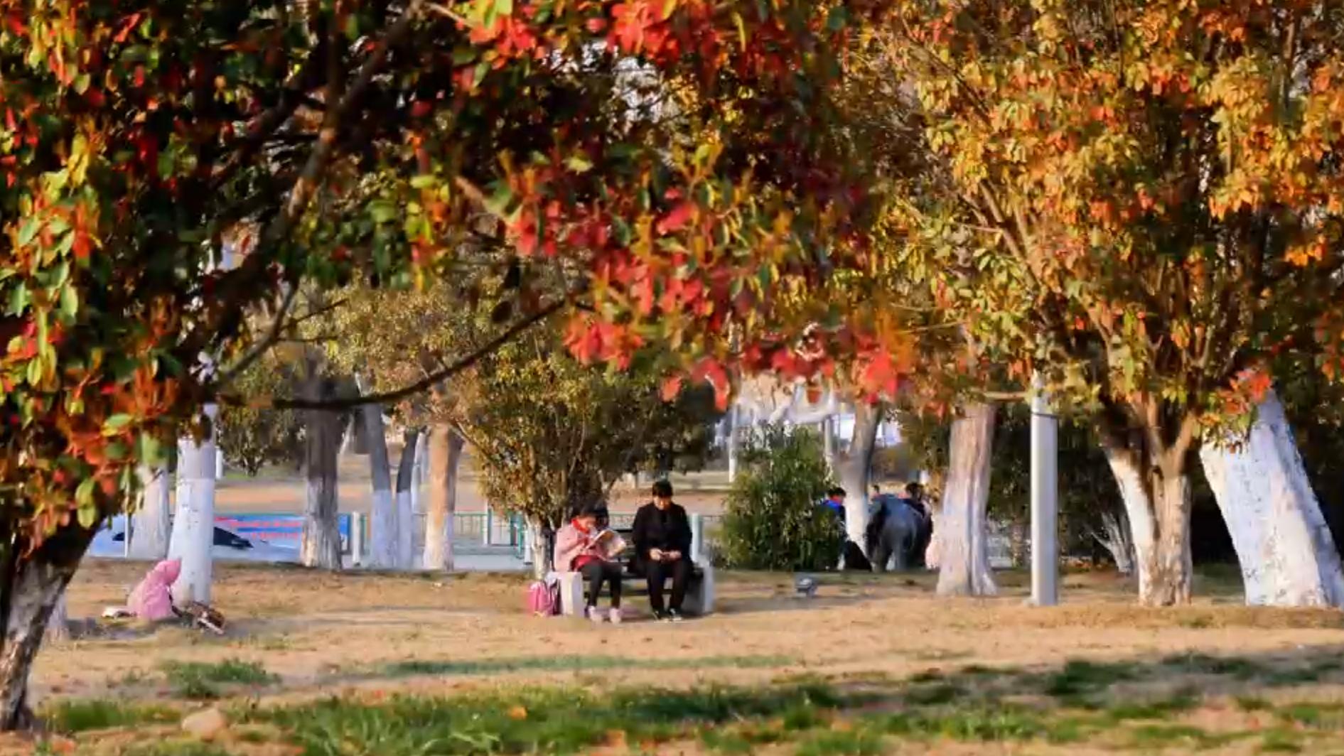 嵌入街巷的“温暖港湾”：彩票公益金托起安徽养老新图景