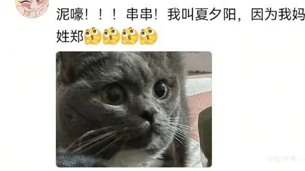 你们家的毛孩子都叫什么名字啊