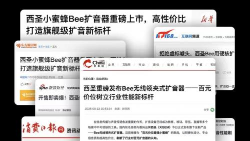 上课用的小蜜蜂扩音器什么牌子好？一文读懂领夹扩音器什么牌子好