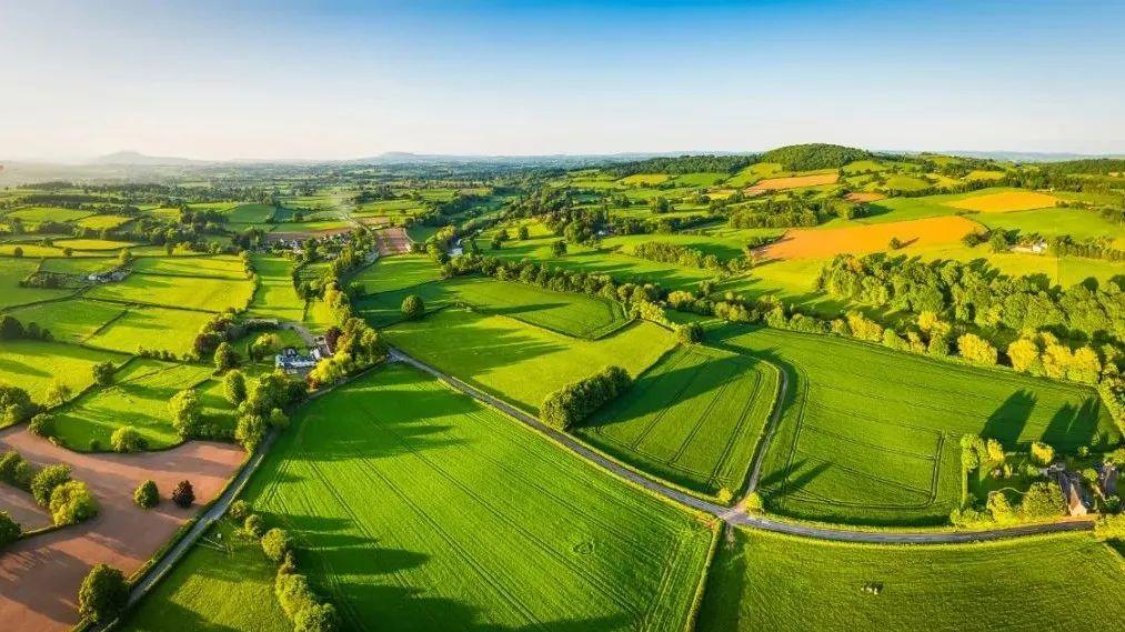 博润科技|一文详解：聚谷氨酸在农业领域的应用