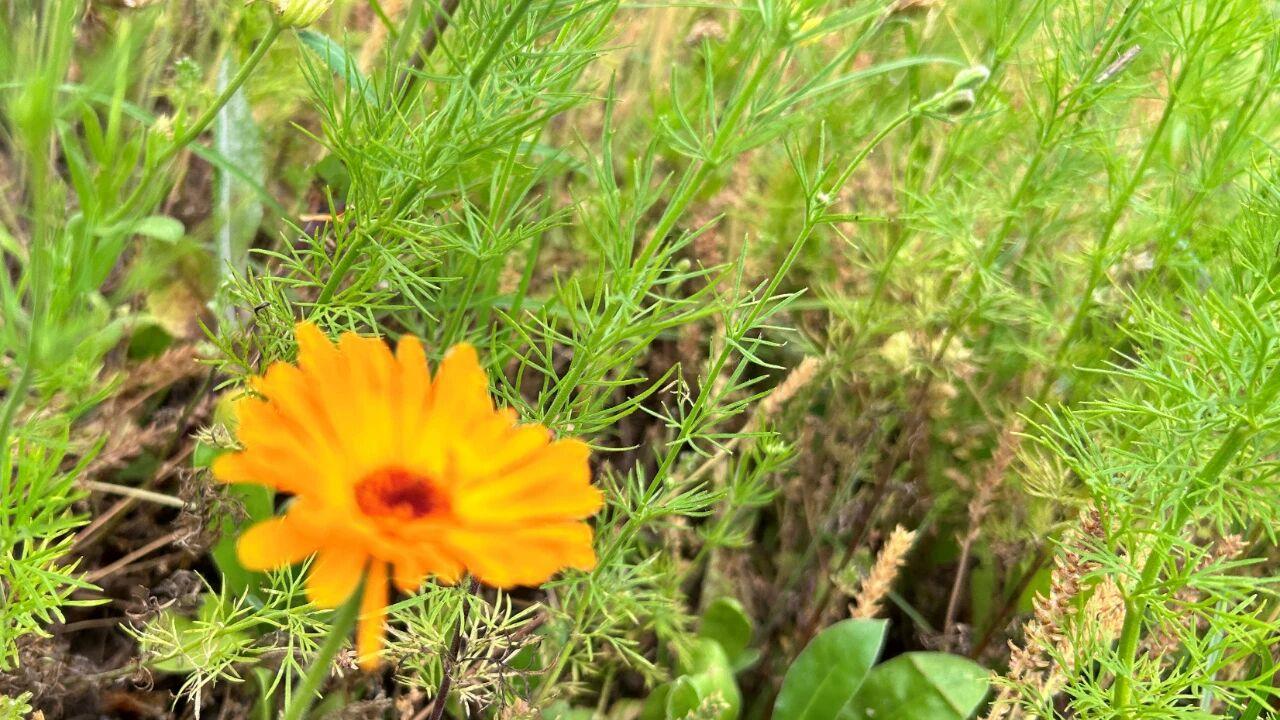 提醒男人，最伤妻子心的3种行为，不然很难挽回