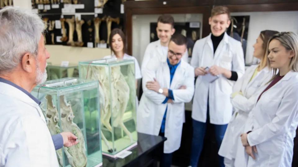 解剖室百年研究证实：它竟是癌症元凶？