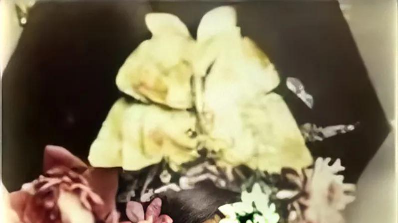 晚清格格非溥仪不嫁，守着80万的古董花瓶潦倒度日，90岁吃饺子噎死