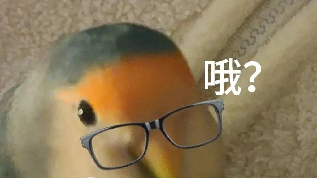 “小蝌蚪”什么颜色才算正常？