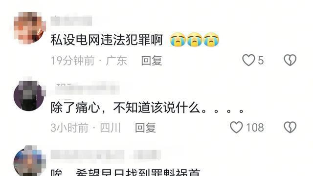 心痛！23岁大学生参加护农队打野猪，碰触私设电网身亡：家中独子