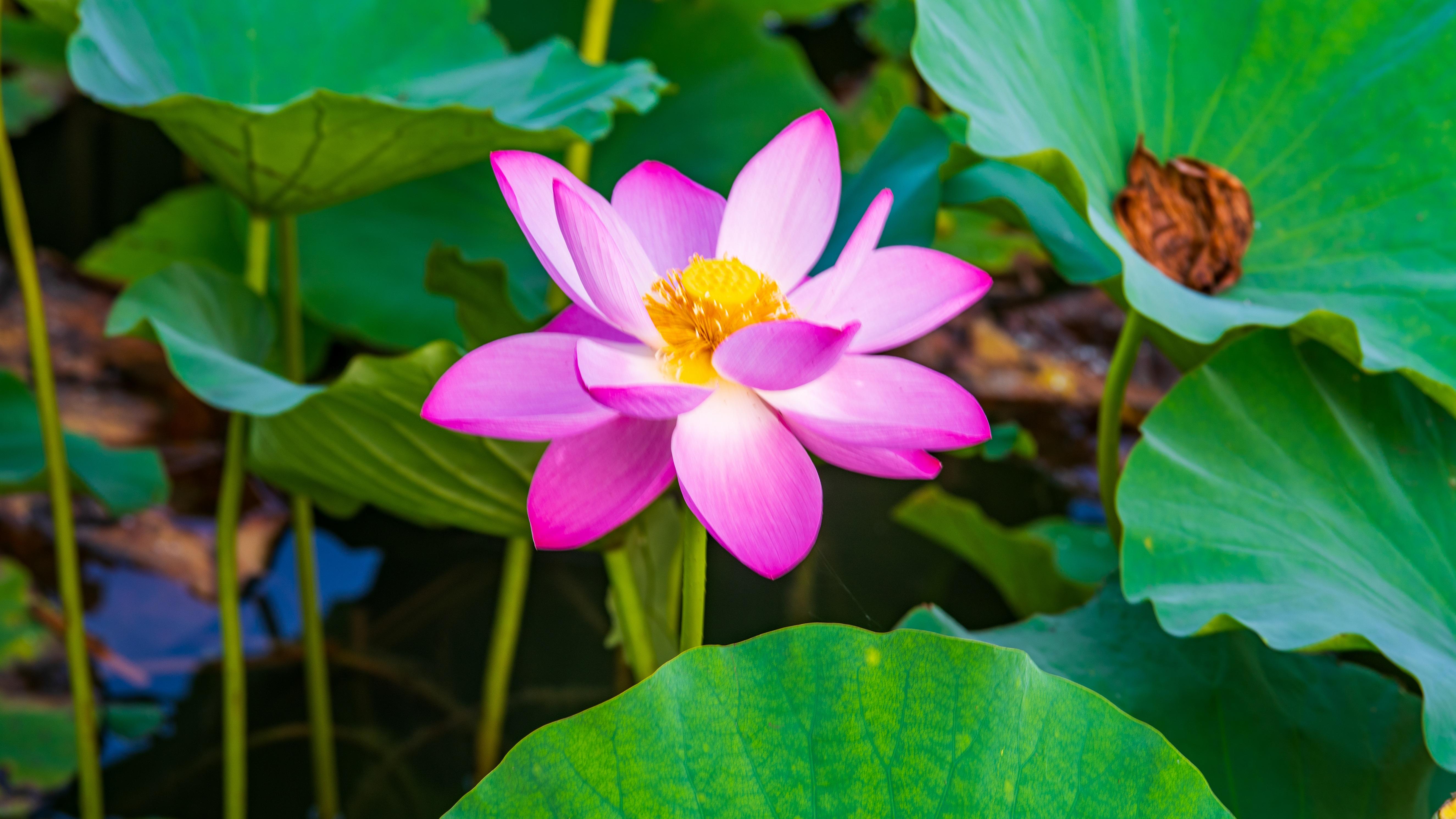 “数据黑洞”刚散，美联储敢降息吗？