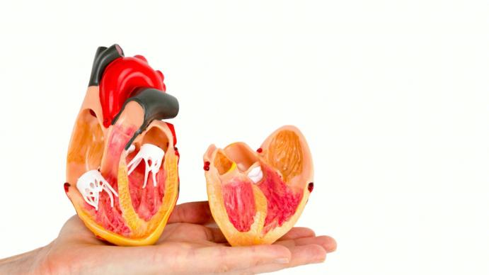 《稳住心跳的“金三角”：饮食、监测与运动，一个都不能少》