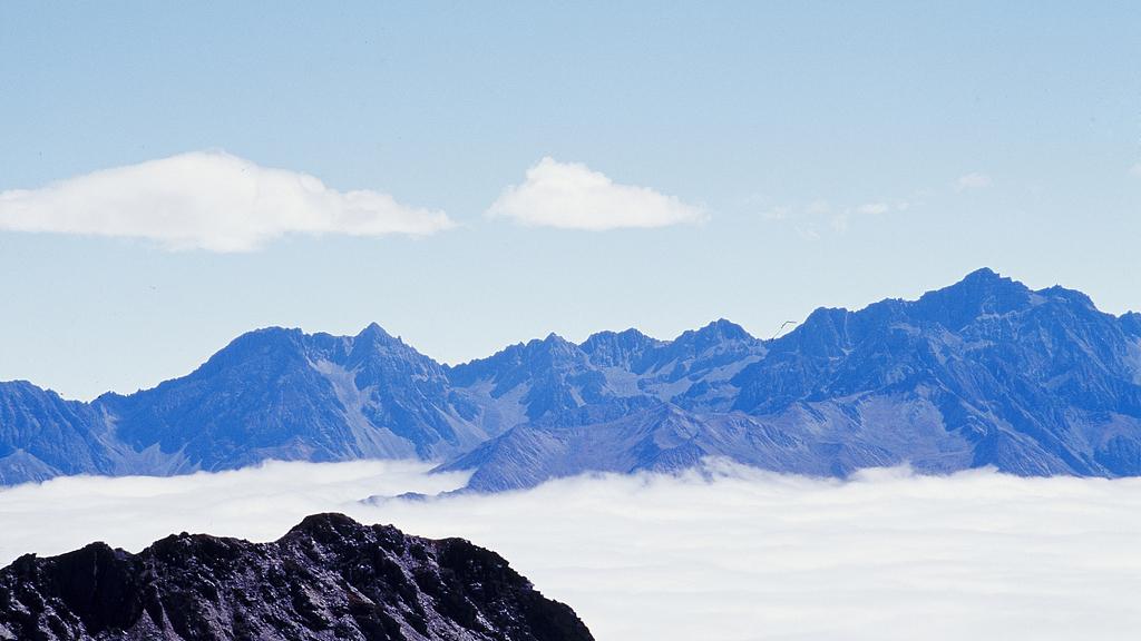 真正要起飞的人，往往最心定