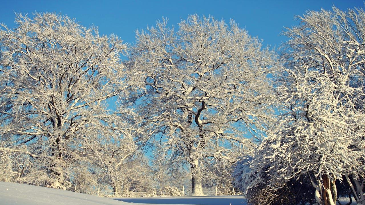 为你写的第一百零七首情诗
