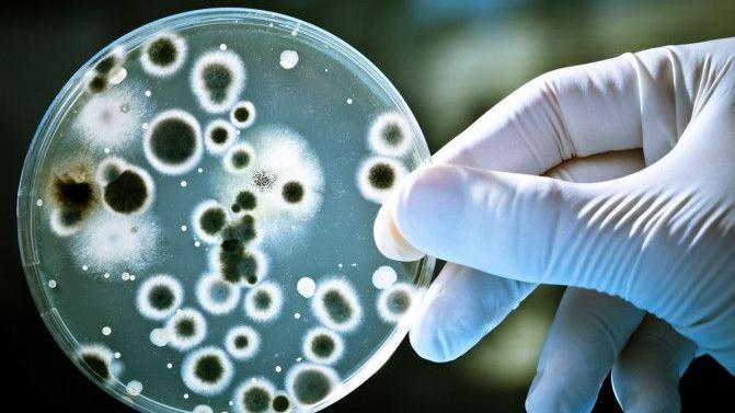 垃圾问题越发严重，而地球上明明有吃塑料的生物，为啥没有普及？