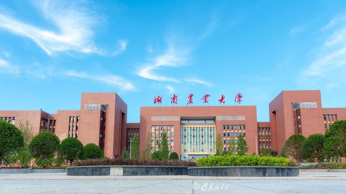 湖南农业大学26推免拟录取名单