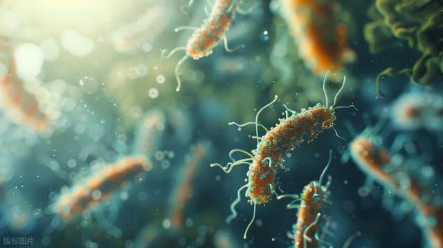 体检发现幽门螺杆菌抗体阳性，先别慌！关键弄清这一点