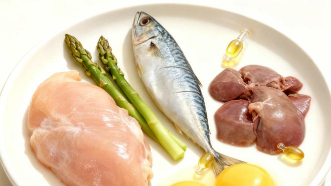 自制猫饭对肠胃敏感猫安全吗？自制猫饭低敏配方推荐呵护玻璃胃猫