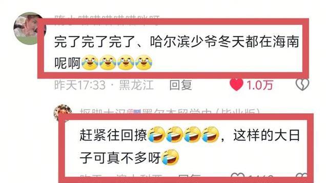 哈尔滨慌了，大批韩国游客将去哈尔滨，而哈尔滨少爷冬天都在三亚