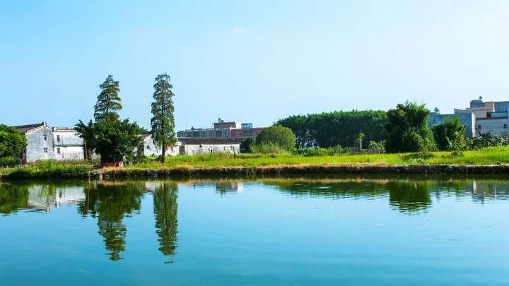 广东揭阳26岁公务员，工作上手慢，被领导直接批评，想辞职可否？