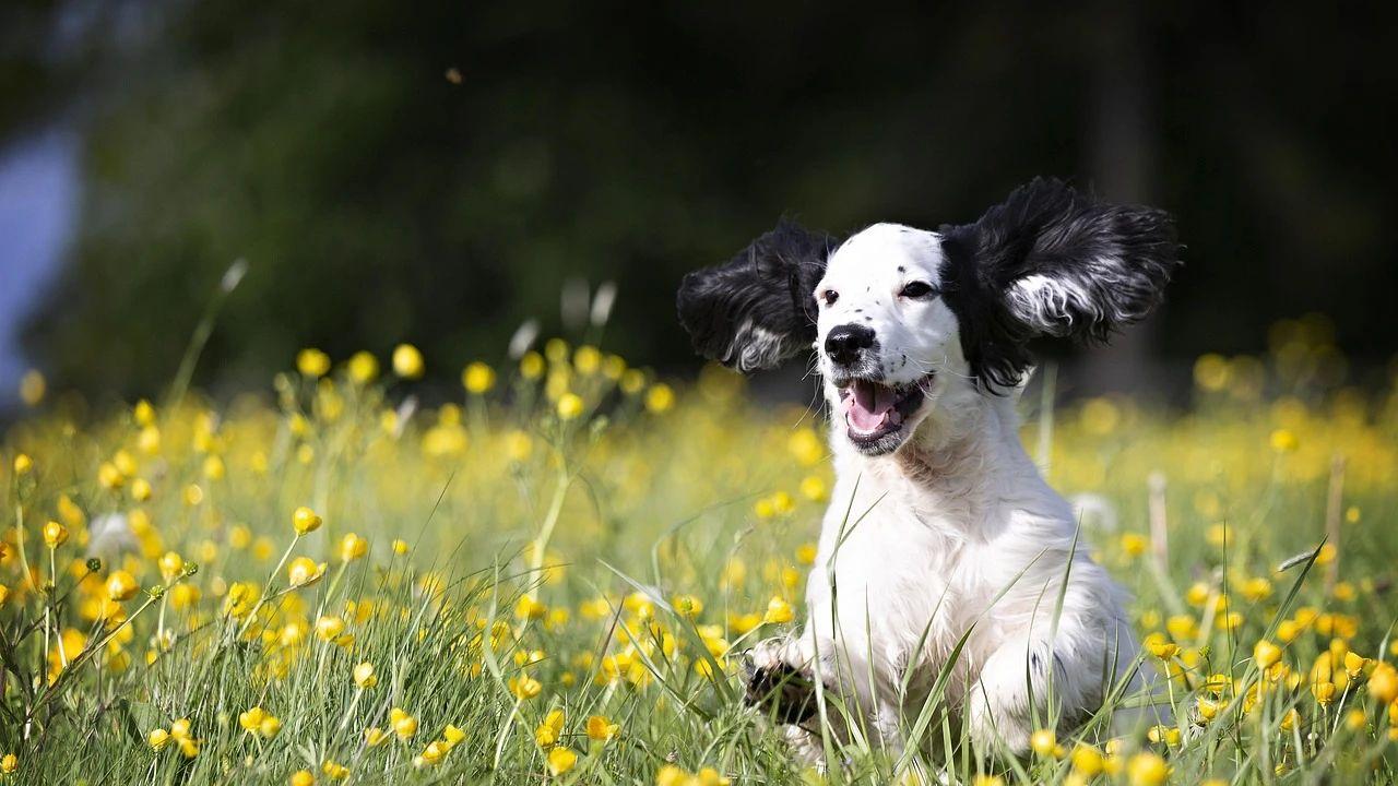 慢下来，寻回生活的本真