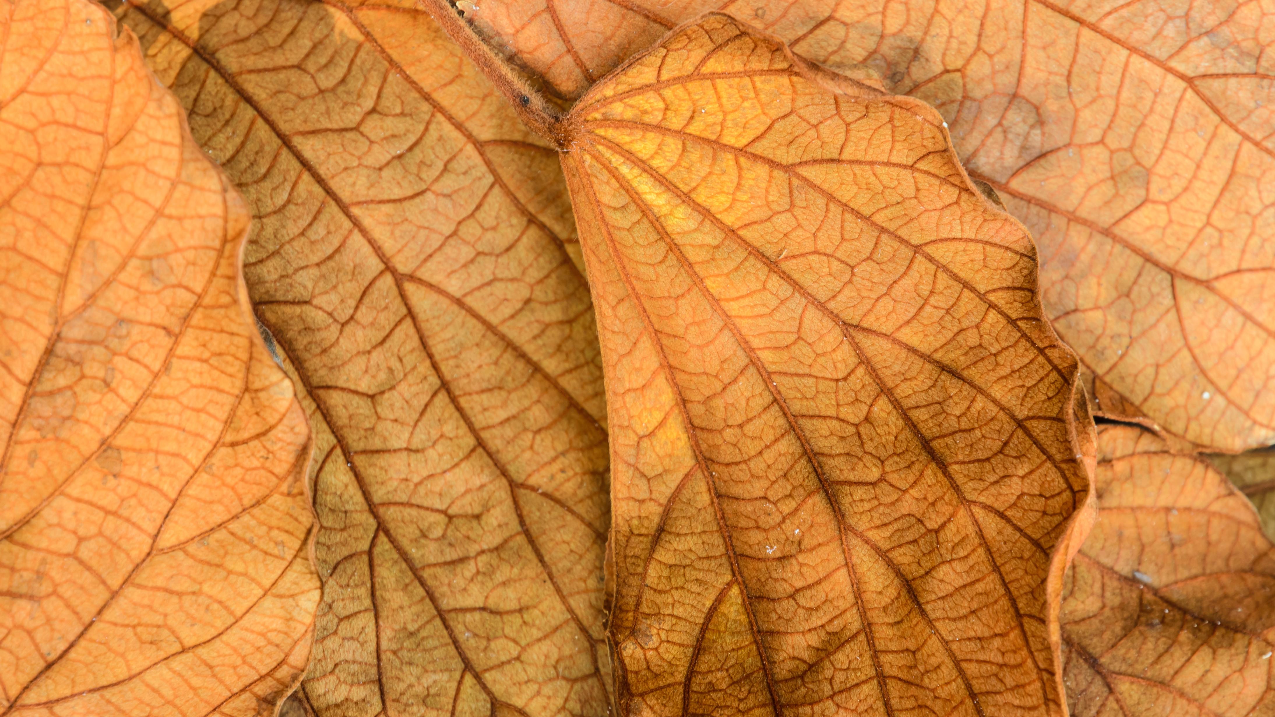 金融风险，真的在逼近吗