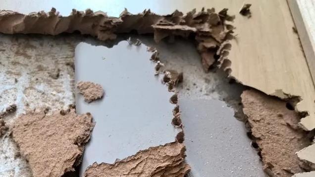 太可怕了！这5样东西，竟然是“甲醛重灾区”，而你却天天用