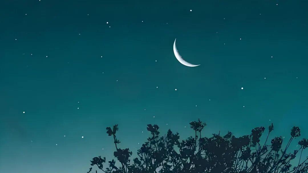 七律·月下沧浪客