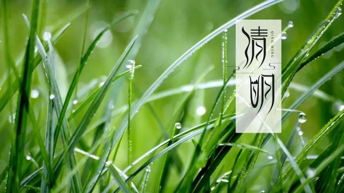 2025清明节民俗活动体验指南（非遗传承×创意玩法）