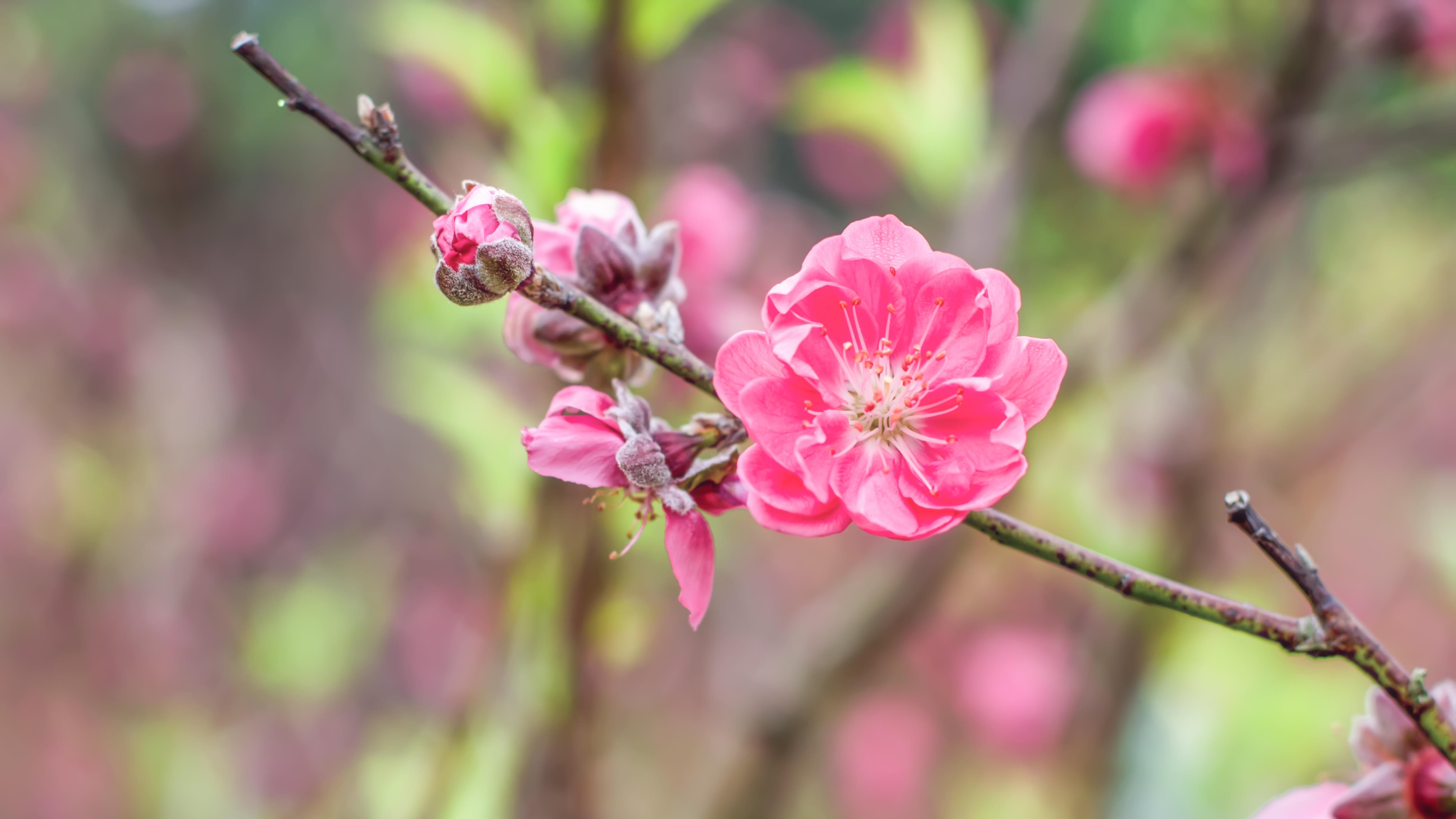 银发医养：当经验重新上场，中国养老悄悄“升维”了