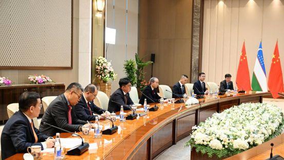 乌兹别克斯坦总统沙夫卡特·米尔济约耶夫会见中国国际文化传播中心执行主席龙宇翔