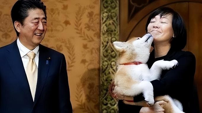 安倍昭惠， 两度丧亲后游泰山释然微笑 ， 日本前第一夫人活出独立人生样本