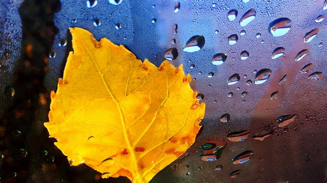 不管你多落魄，也要拒绝他人频繁的帮助