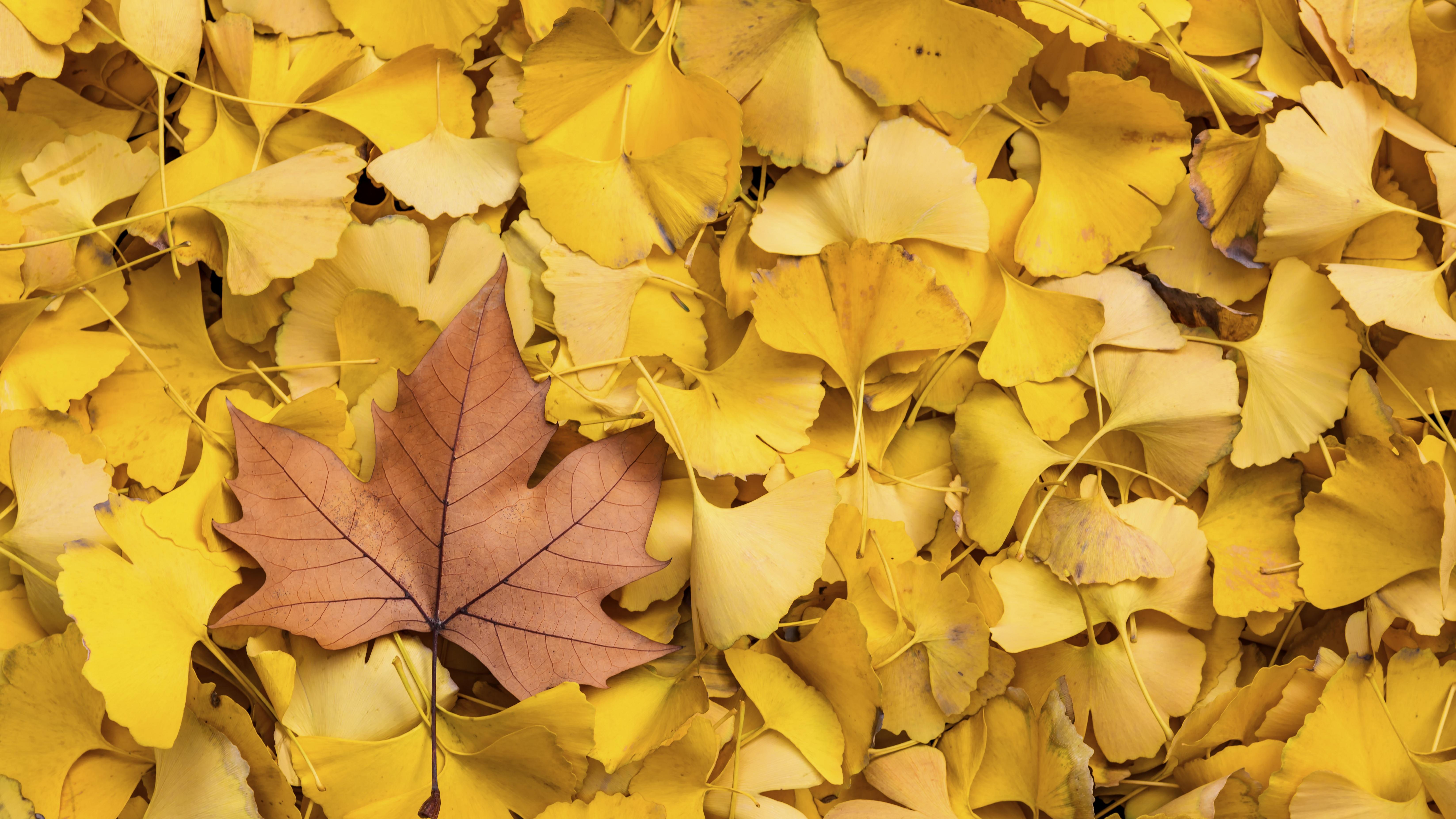 当航母遇上宪章：加勒比海为何突然“起风”