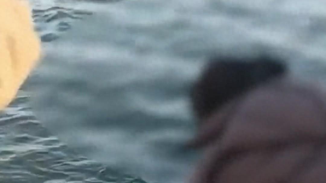 海边惊现 “大米入海”！辽宁葫芦岛离奇放生事件背后，是虔诚还是荒诞？