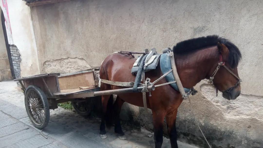 为什么哪怕没有车，也要等红绿灯