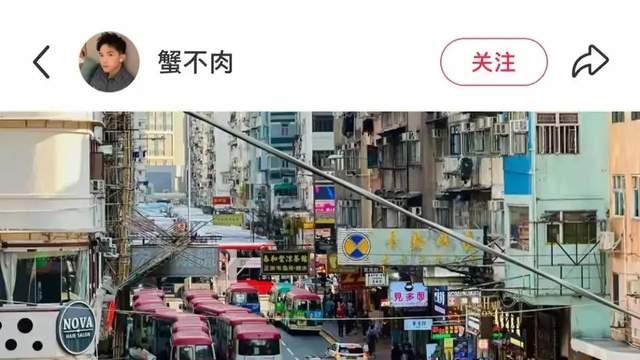 生死相随：一场现代爱情悲剧背后的哀伤与反思
