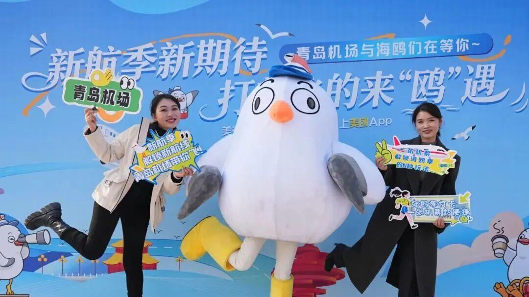 万鸥引客票根留人 市南区打出岛城冬日文旅“组合拳”