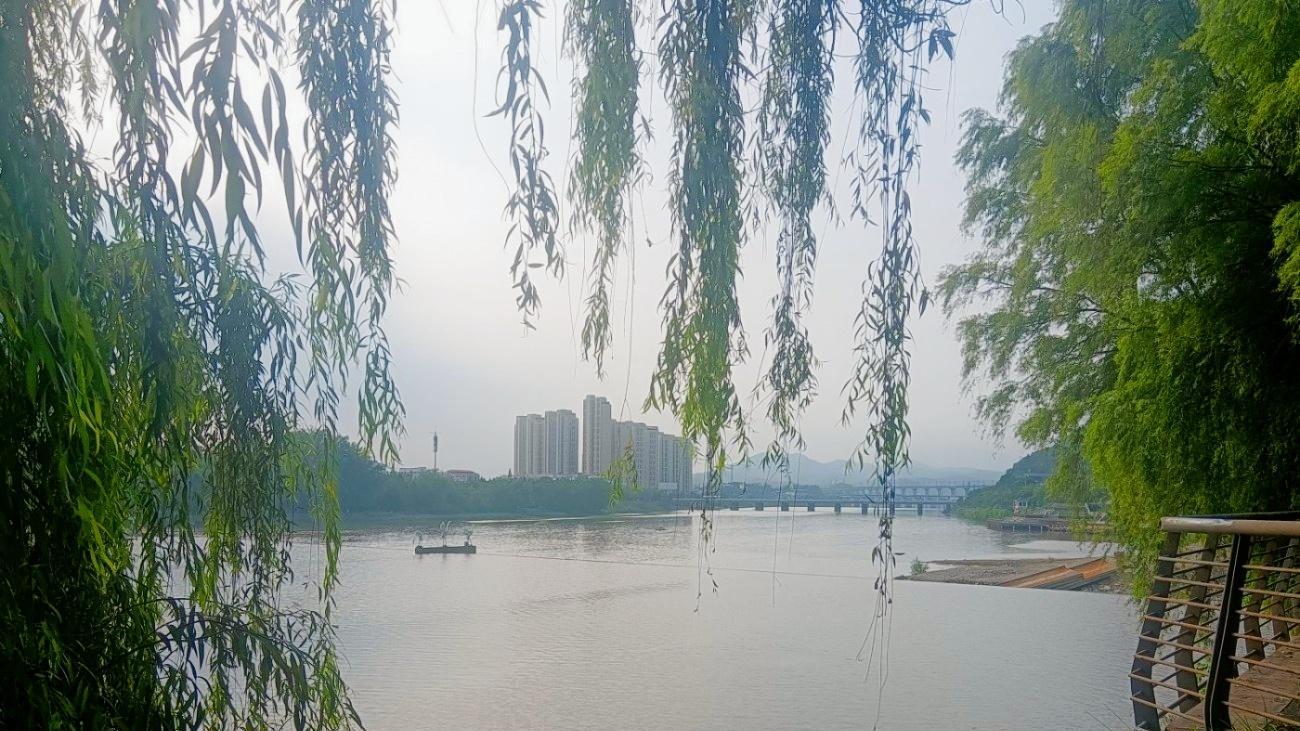 琴弦上的暮霭晨岚