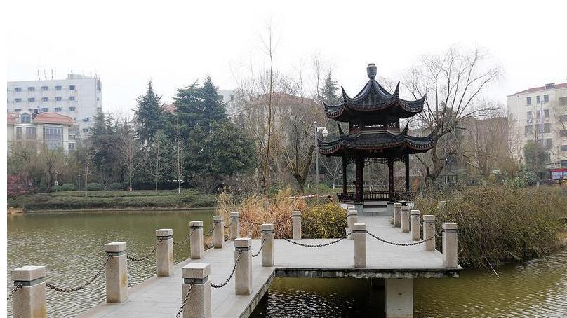 沈巍观察44：沈巍落下一枚南京的温柔棋子，将了“反沈联盟”一军