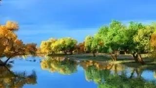 定了！2025年这3个片区要征地！快看看有你家吗？？