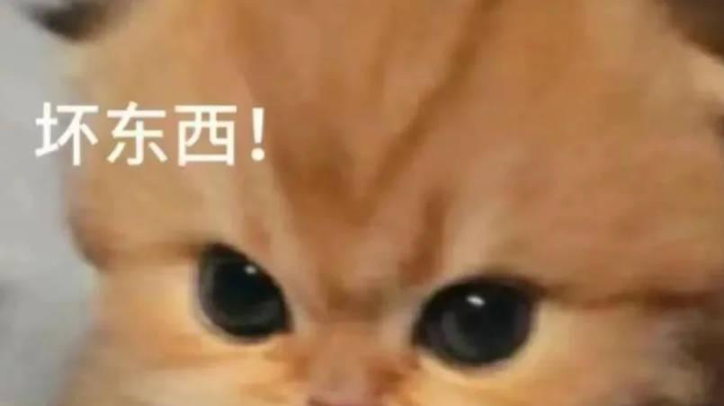 老师为什么总是喜欢偏心成绩好的学生？