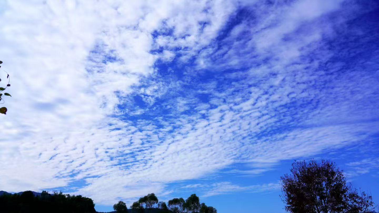 监狱里的那些事