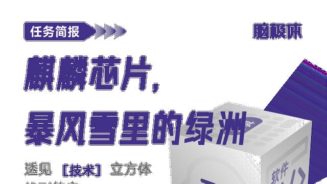 麒麟芯片，暴风雪里的绿洲