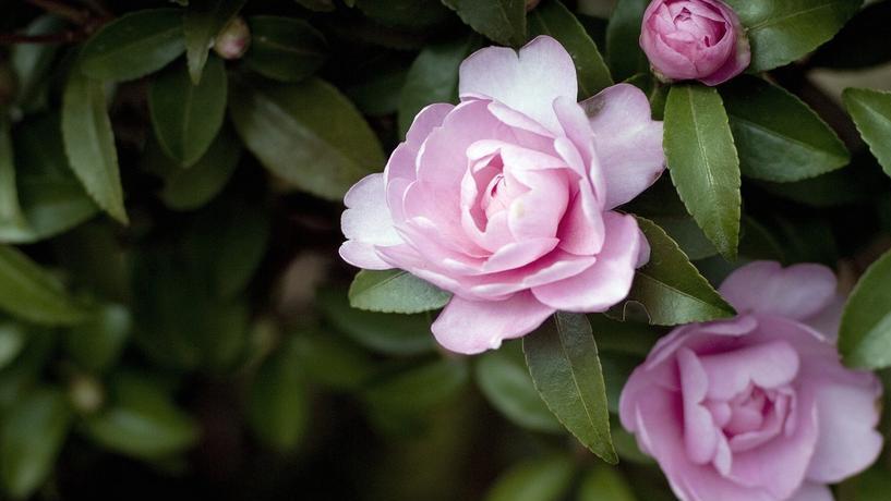 想让孩子有出息？这2件事千万别瞎管！