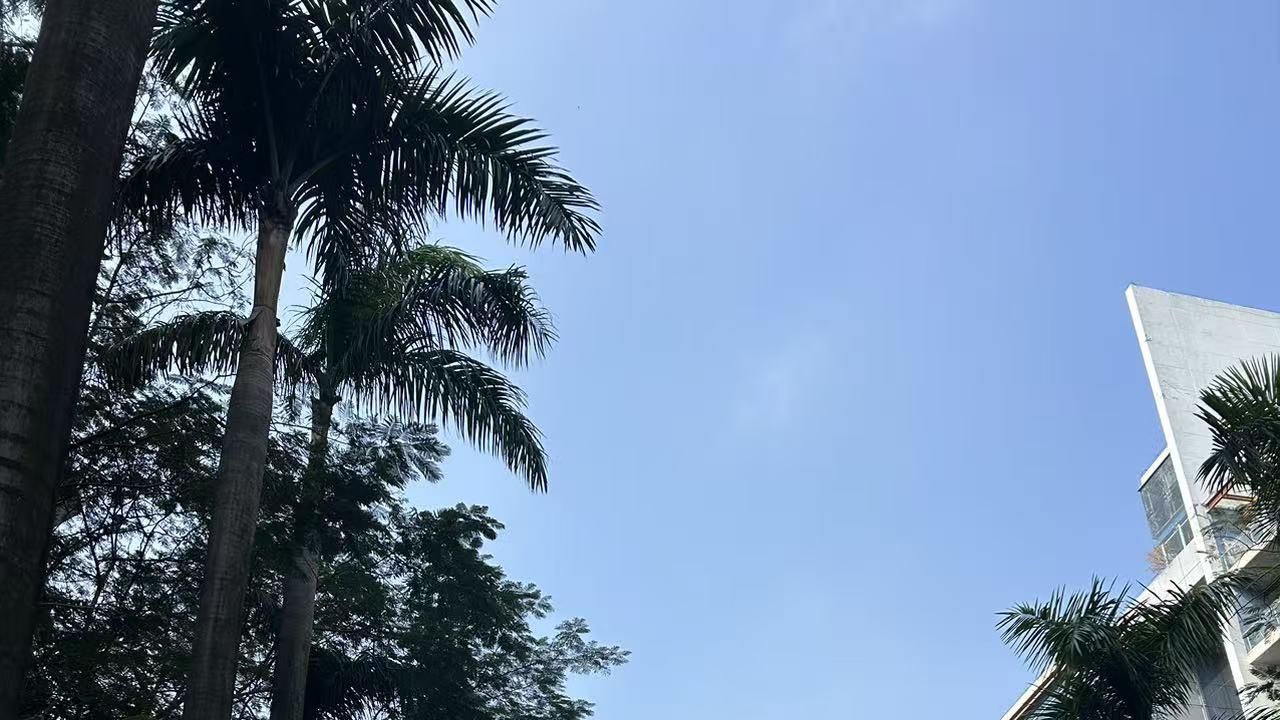 多数人是富贵险中丢