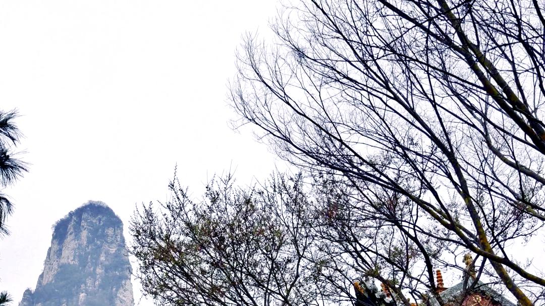 “河东第一奇峰”｜山西运城五老峰旅游攻略：在“道家第五十二福地”，体验一场与云海、奇石、道韵的千年对