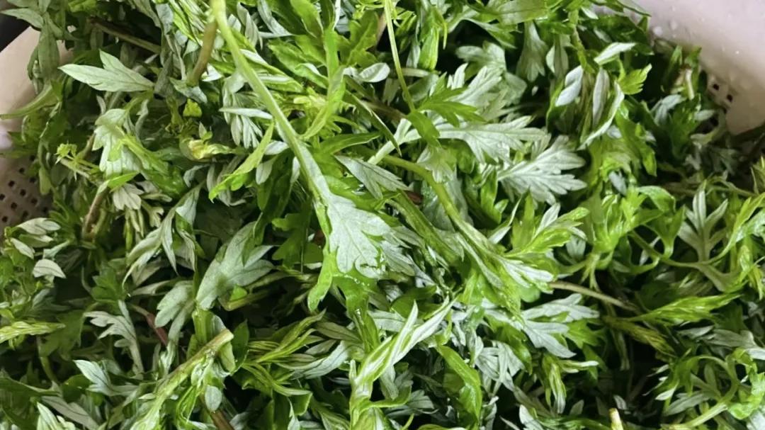 春天，碰到此菜别手软！全身是宝，比荠菜香，比蒲公英强，遇到多囤点