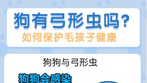 新手铲屎官注意！狗有弓形虫吗？如何保护毛孩子健康