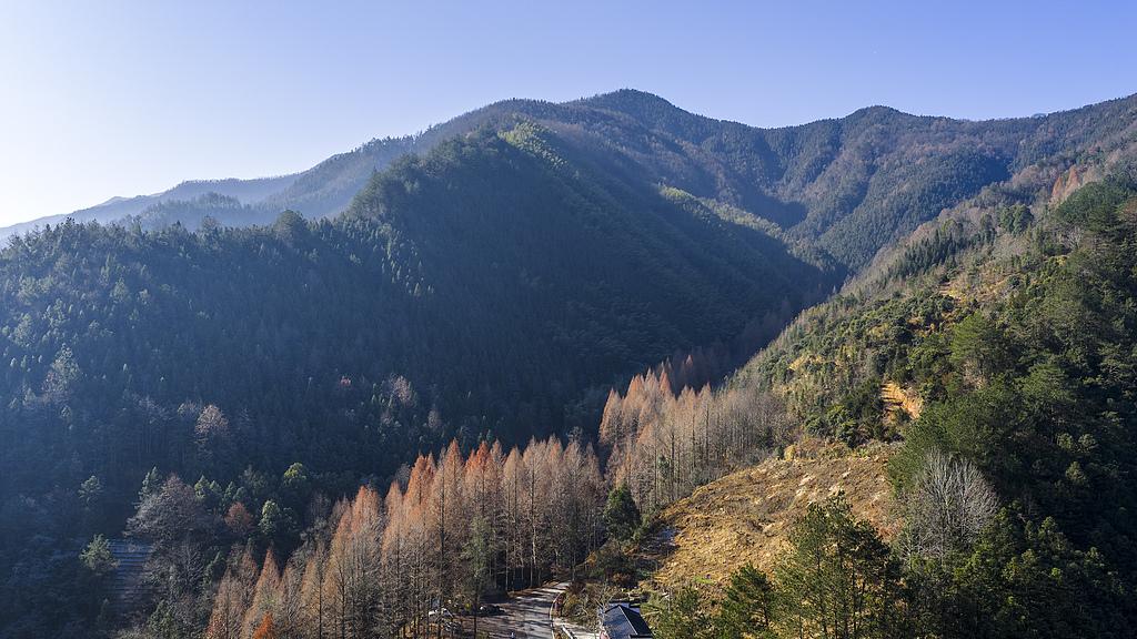 蝴蝶大乐透25143期分析，本期的冷码考虑1个号码即可，不会太多