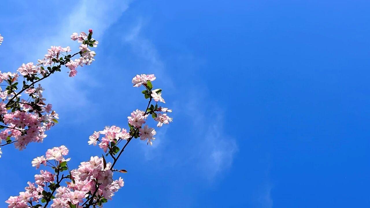 男人不回家，也不离婚，目的和你想的不一样