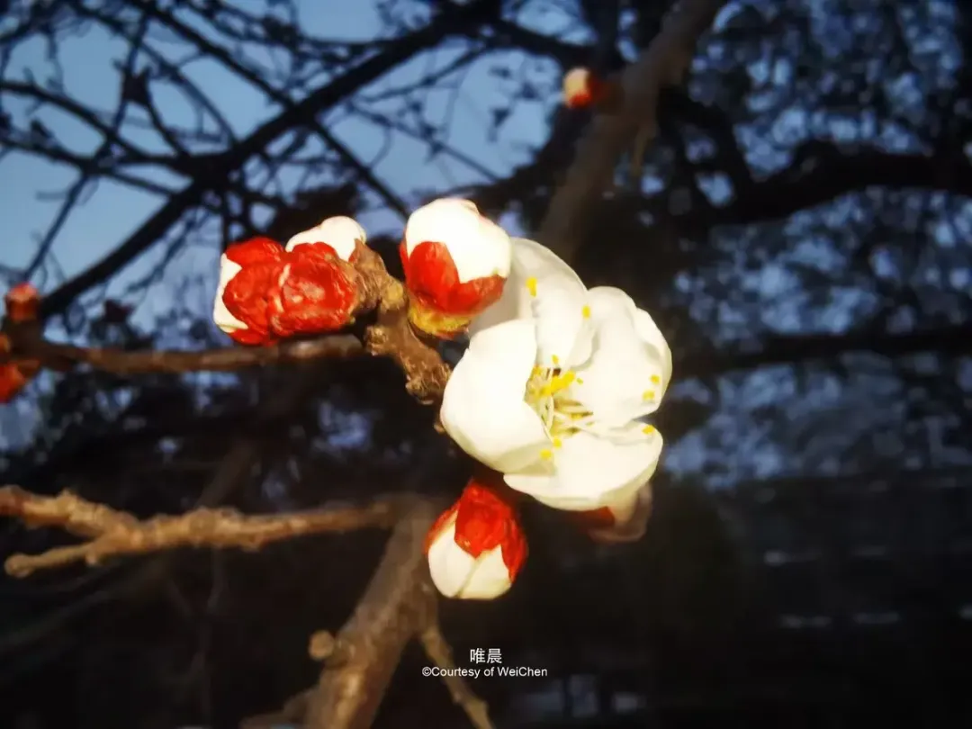 别不信！父亲身上有这几个“习惯”，子女的人生难幸福