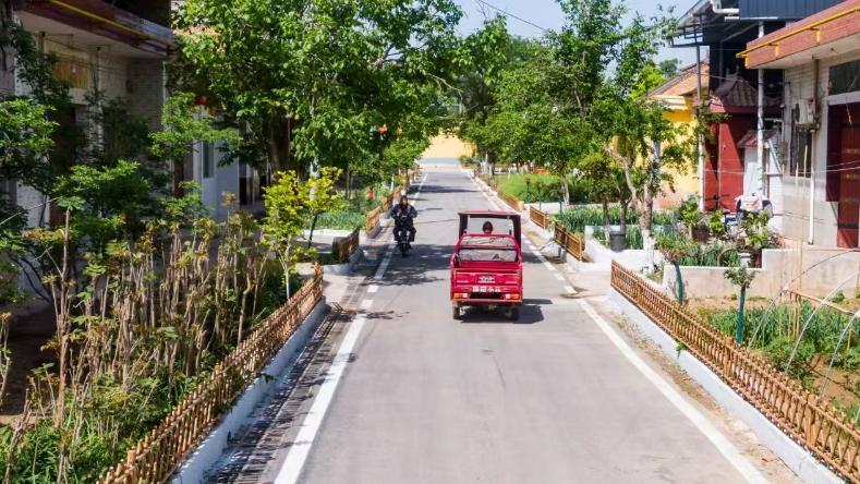 沃野焕新颜 乡村绘新卷